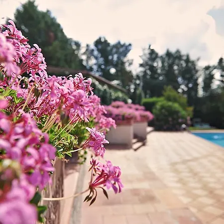 Agriturismo Caterina * Belvedere (Florence)