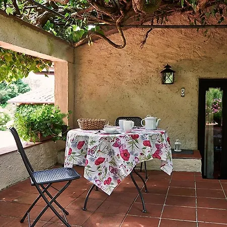 Farm stay Agriturismo Caterina Belvedere (Florence)